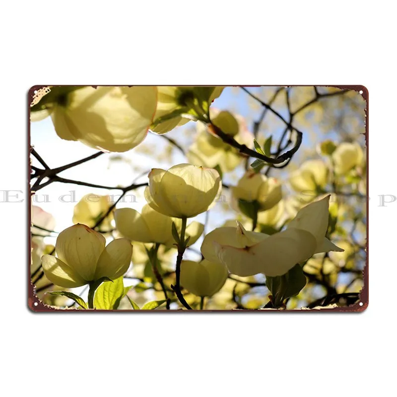 

Dogwood 2022 4 металлические плакаты с вывесками, Классические Клубные кинотеатры, печатные оловянные плакаты с вывесками