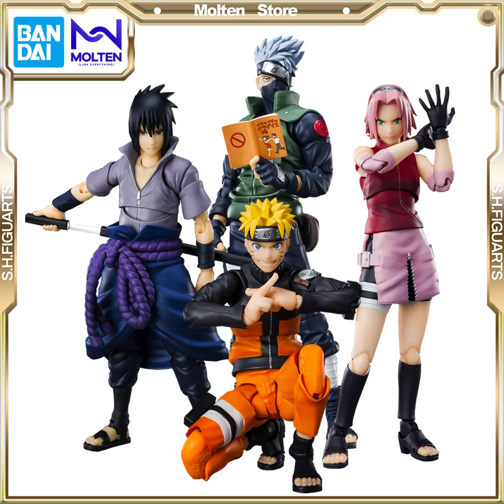 Model Team 7