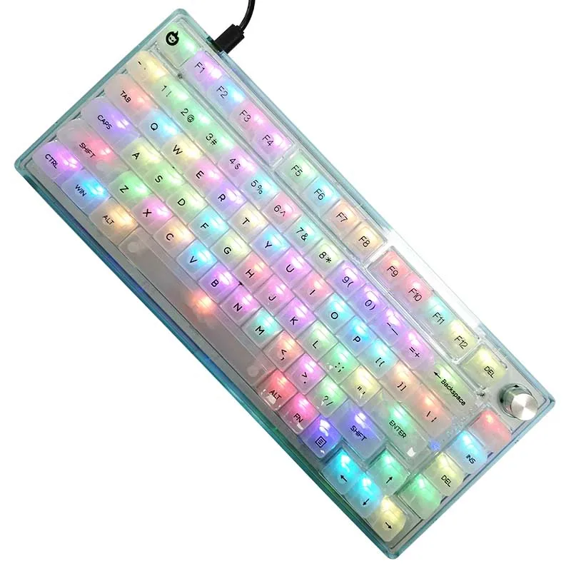 

Mechanical Gaming Keyboard Transparent Jelly Switch USB2.0-Type C Wire Removable PC Gamer Hardware RGB Backlit Esport Keyboards