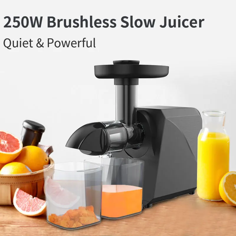 

LUFVEBUT 250W Electric Juicer Extractor for Celery Slow Juicer 50RPM Fresh Juice Blender 105NMM Cold Press Juicer Slow Masticate