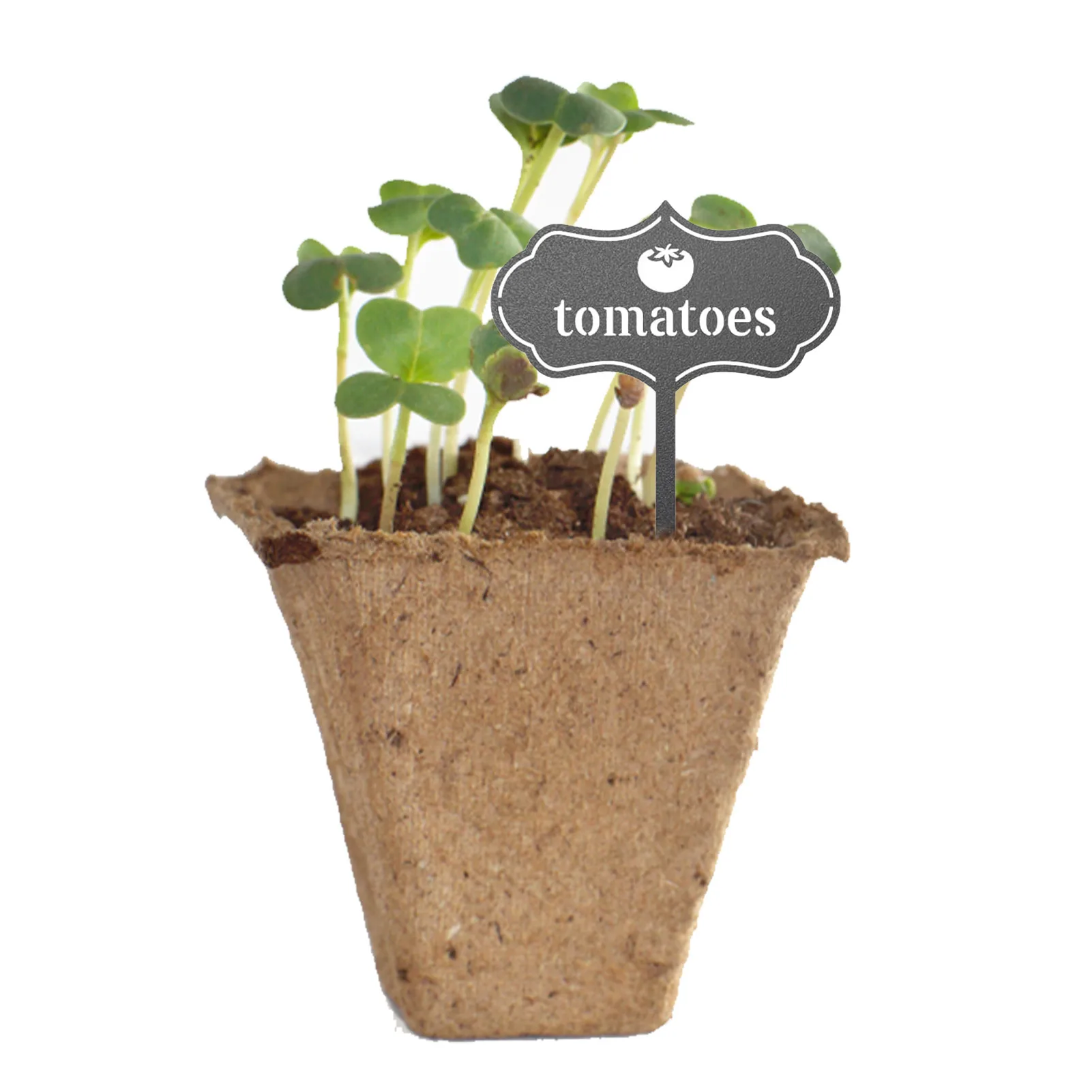 

Plant Tags for Pots T-Type Plant Labels Hang Tags For Garden Markers Easy to Use Garden Markers for Seed Potted Herbs Flowers