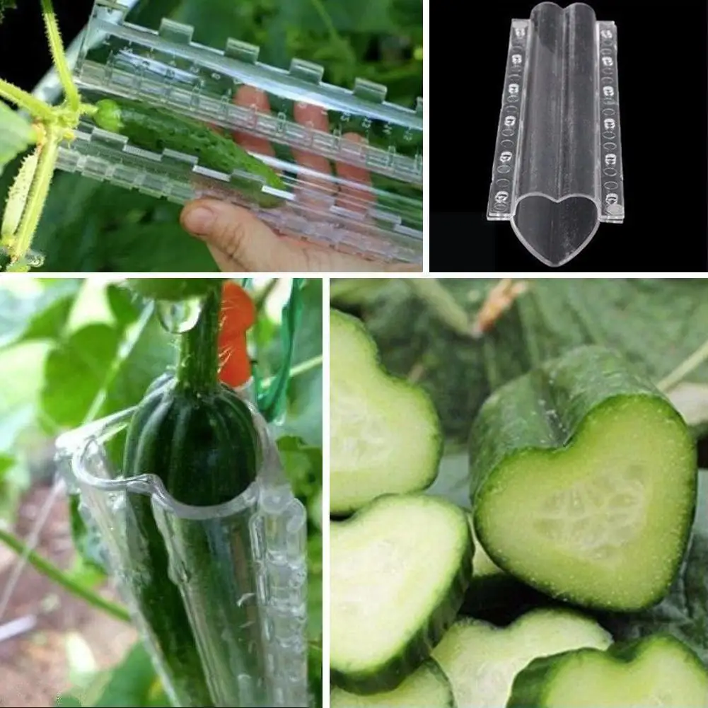 Cucumber Stereotype Growth Mold Pentagram Heart Shaped Fruit Garden Transparent Plastic Growing Vegetable Molds Garden Tools
