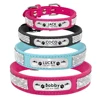 Bling Personalized Dog Cat Collar 2