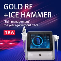2 in 1 skin tightening radiofrequency facial lifting gold rf microneedle ice hammer machine needle mesotherapy for face and body