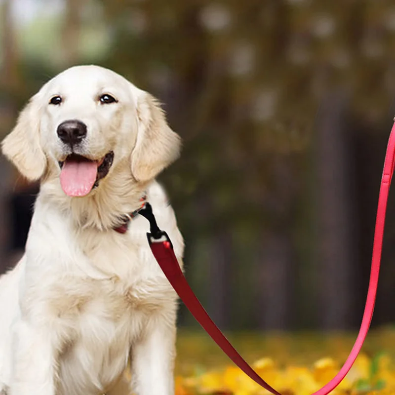 

New dog leash pet training rope pet guide line dog seat belt dog accessories for small dogs red blue grey brown