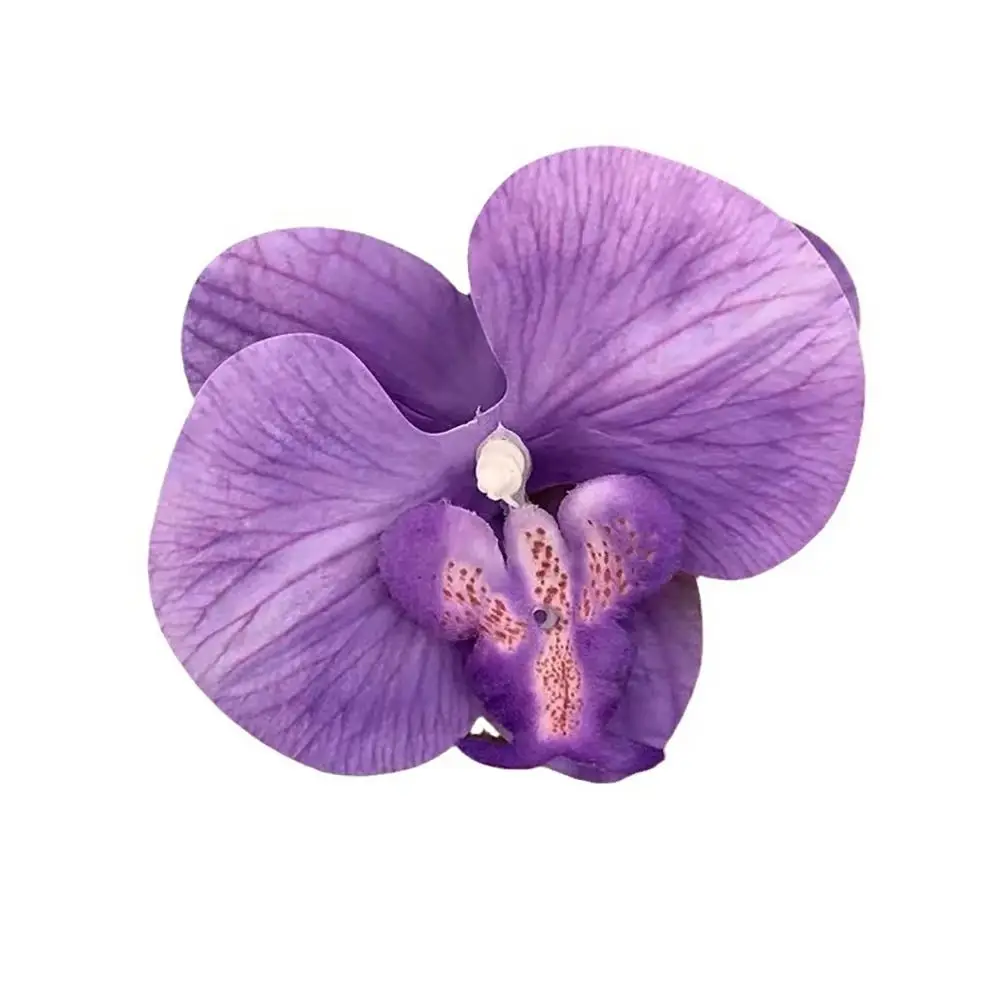 1 шт. заколка для волос с жемчугом Phalaenopsis орхидеей и бабочкой аксессуары