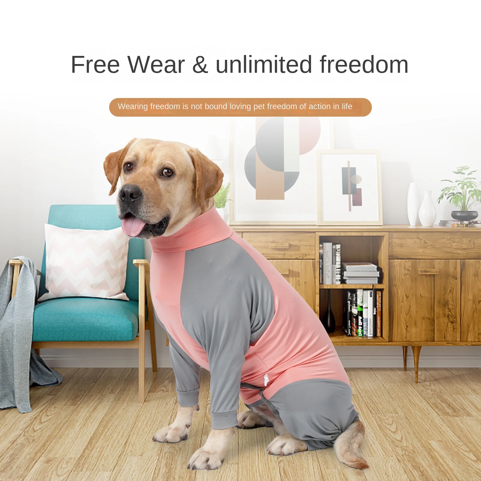 

Pet Supplies, Dog Quadruped Hair Proof Home Clothes, Dog Clothes Costume Dog Accessories