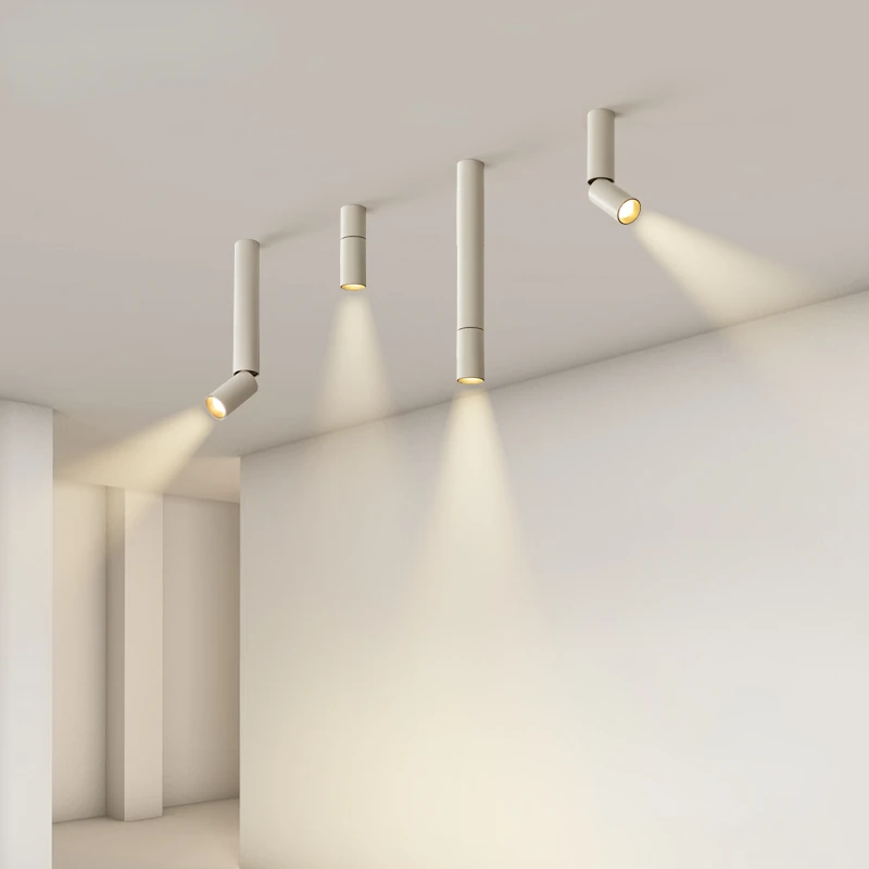 Lamp in the Living Room LED Ceiling Lamp Modern Spotlight without Main Lamp Bedroom Light Downlight Corridor Aisle Lamps