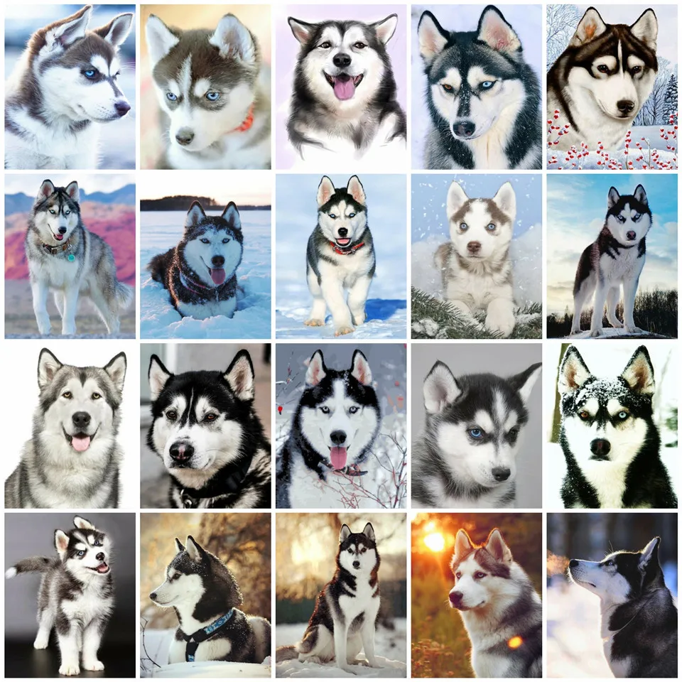 

AZQSD Diamond Painting Dog Wolf Animal Cross Stitch Embroidery Winter Snoe Mosaic Handmade Full Kits Picture Of Rhinestones Gift