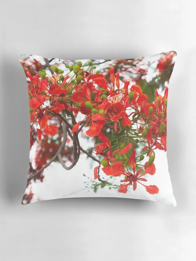 Королевская пуансиана (Delonix regia) также называемая ярким деревом или павлиньим