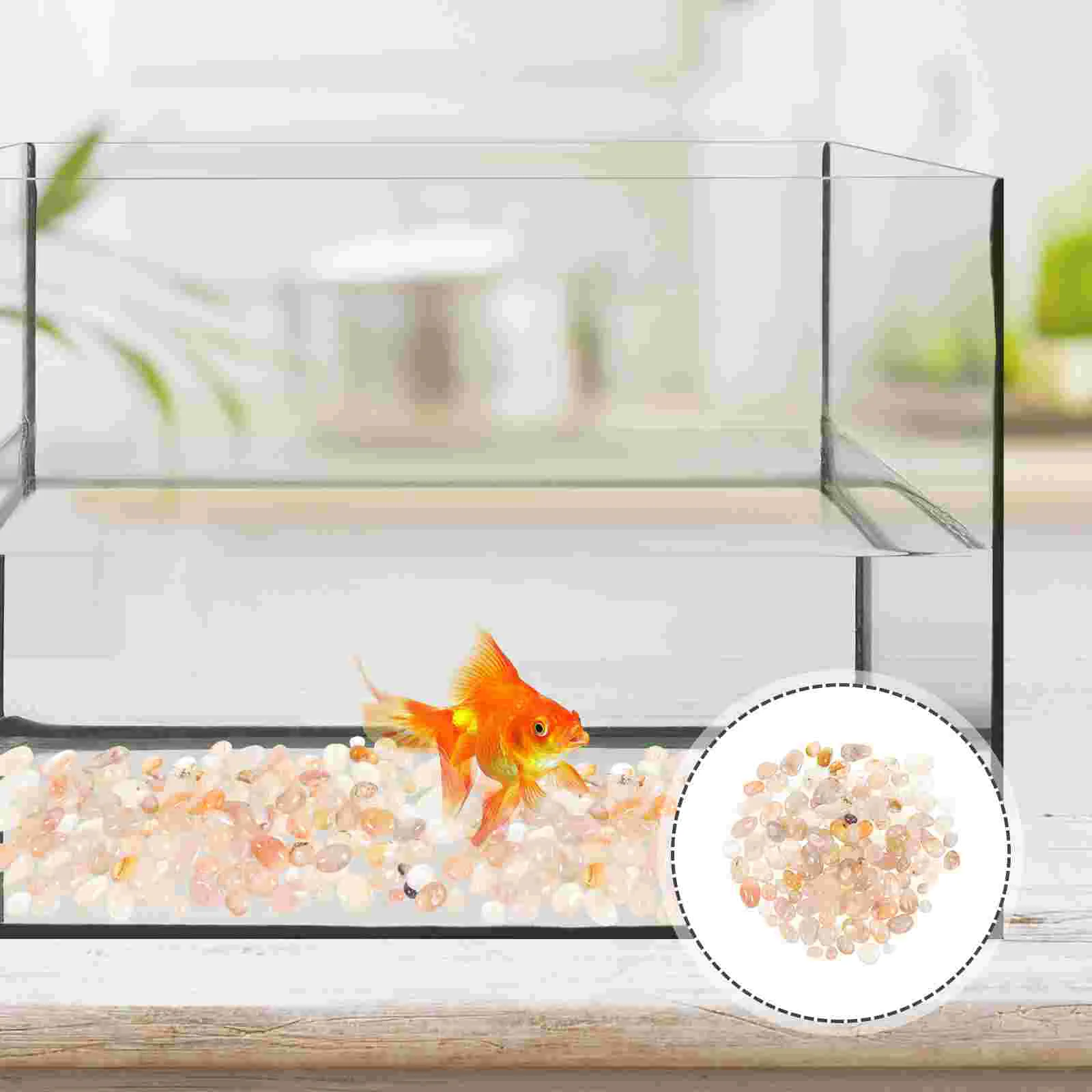 

Pebbles Outdoor Landscaping Landscape Rocks The Bonsai Garden Stones for Plants Flower Pot