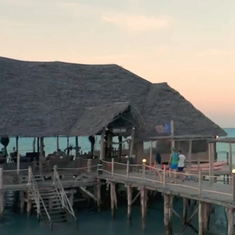 Mexican Tikis Hut Grass Skirt Roof Bar Duck Blind Thatch Roll Palm Palapa Straw Partys 300X50cm