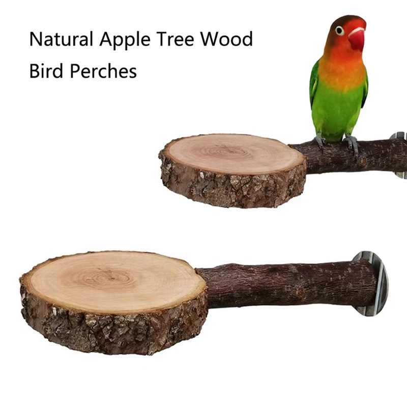 Natural Tree Wood Pet Parrot Raw Fork Branch Stand Rack Squirrel Bird Hamster Perches Chew Bite Toys