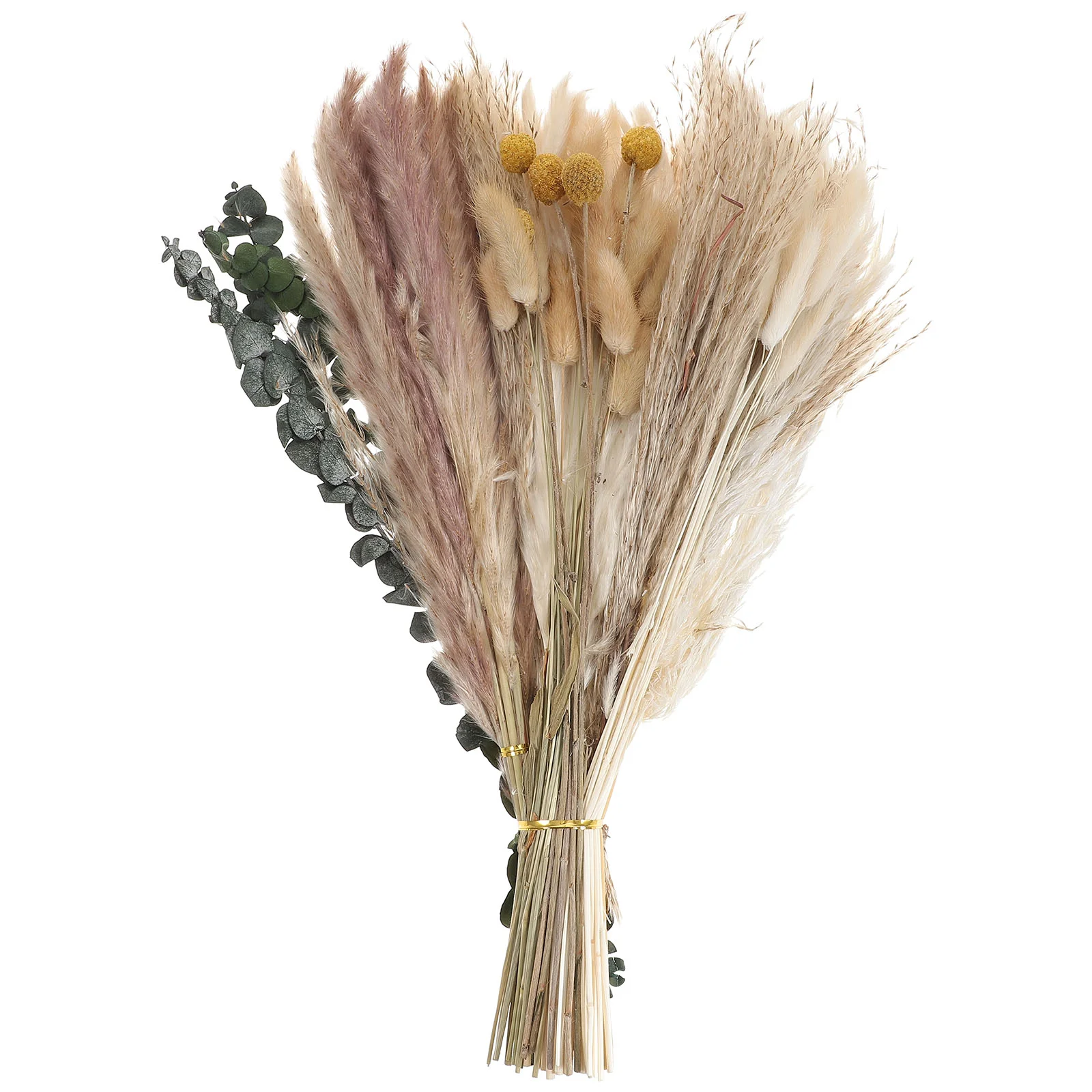 

1 Set Dried Adornments Flower Arrangement Dried Dried Layout Props Dried