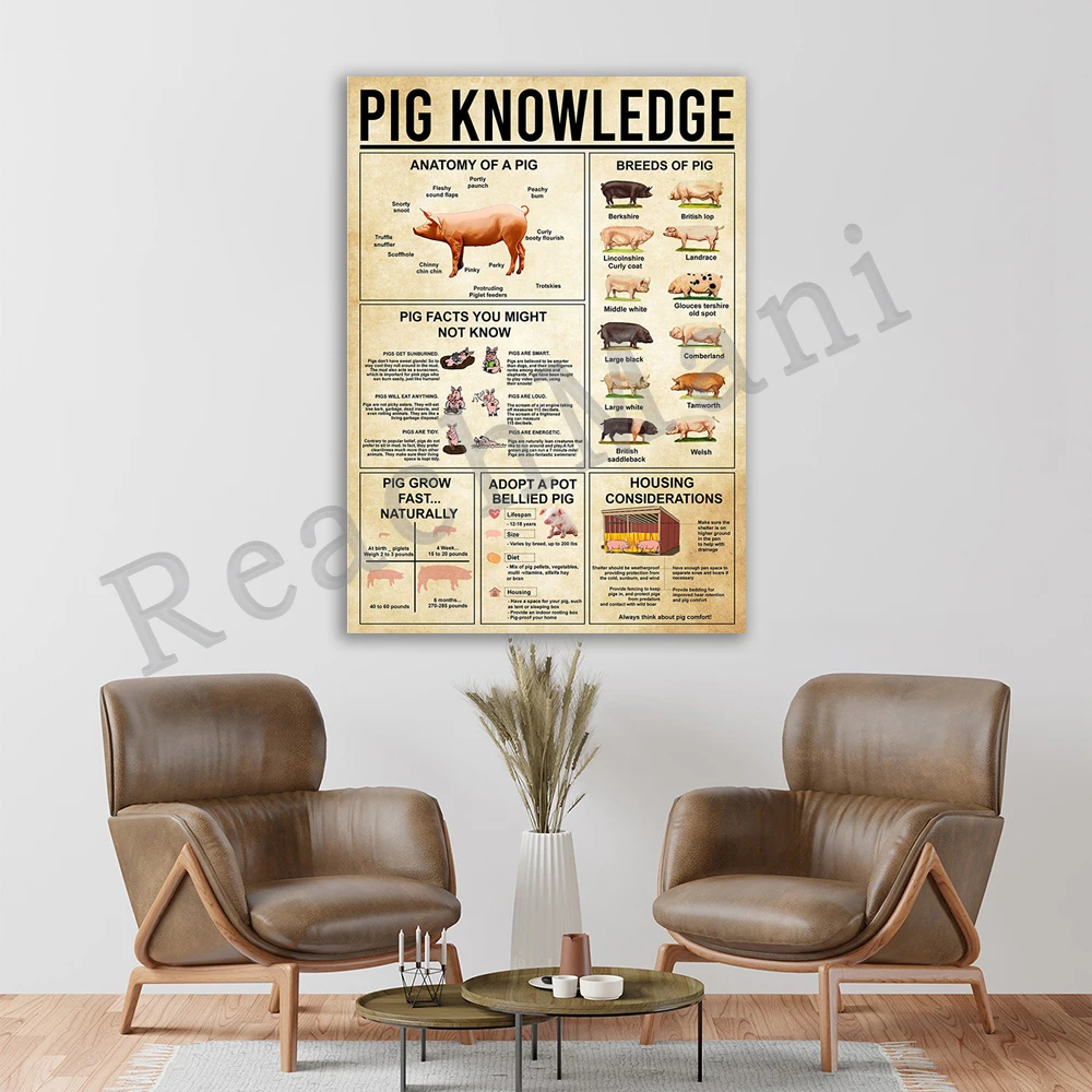 

Винтажный постер в виде свиньи, постер из серии знаний для начинающих по анатомии свиньи, печать знаний о животных фермы, декор для настенно...