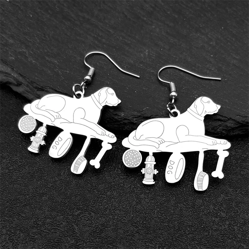 Серьги-подвески для женщин и мужчин из нержавеющей стали серебристого цвета