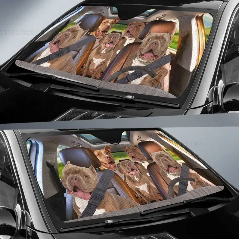 Рисунок 2 - Козырек от солнца Pitbull