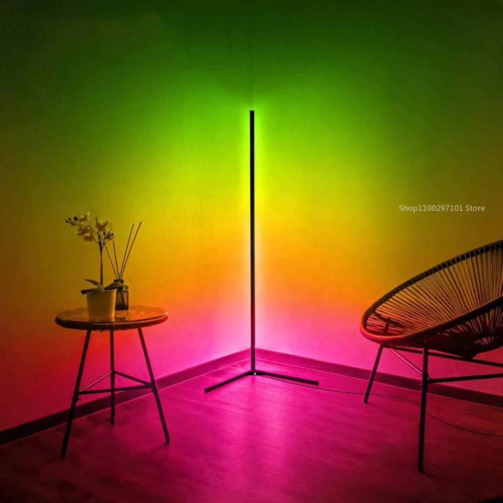 Modern Led Floor Lamp RGB Nordic Floor Lamps Living Room Metal Line Lights for Home Ambient Light Colored Neon Sign Room Decor