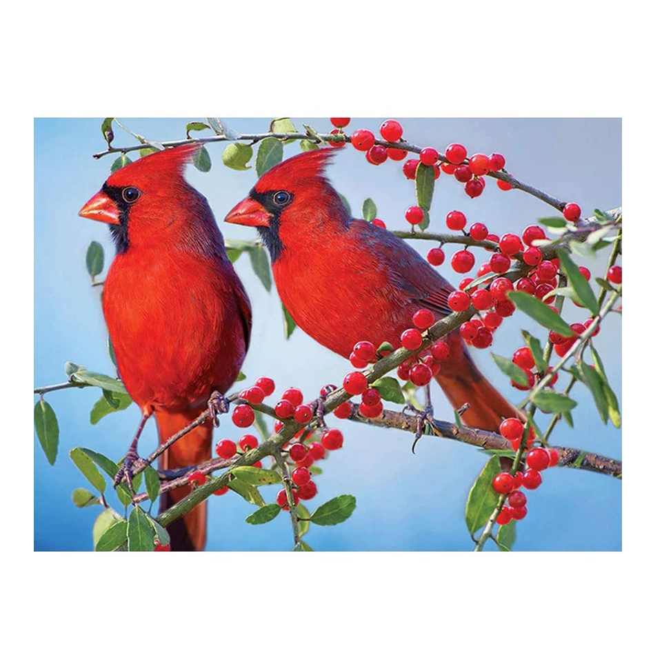 

Полноразмерная картина с большими глазами для девочек, квадратная, круглая, 5d «сделай сам», алмазная живопись, картина стразы, мозаика с пол...