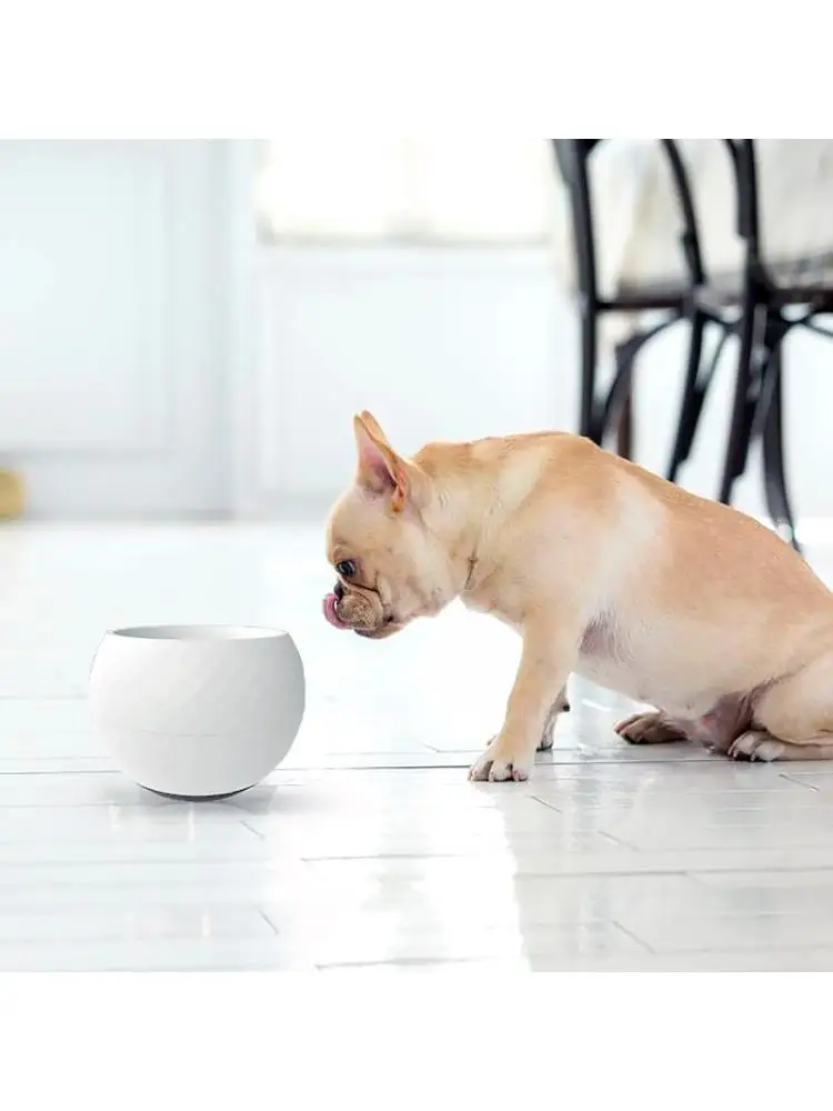 Противоопрокидывающаяся и противоразбрызгивающая миска для собак защита