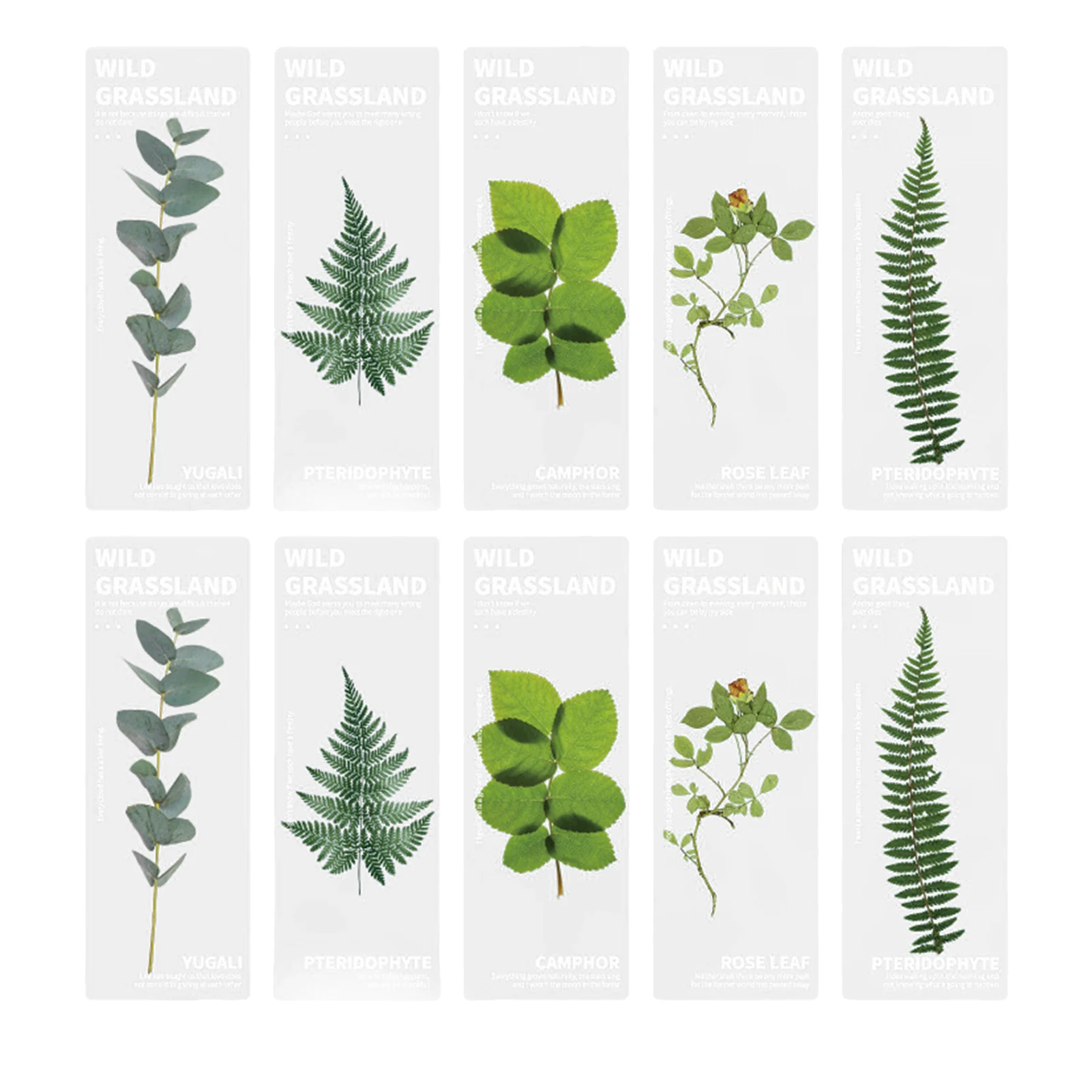 

10pcs For Reading Flower Bookmark Translucent Stationery Gift Bookworms Nature Plants School Supplies Rectangle Page Holder