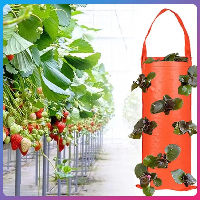 

Vertical Strawberry Planting Bag New Overseas PE Vertical Hanging Three-dimensional Grow Bags Nursery Multi-port Strawberry Bags