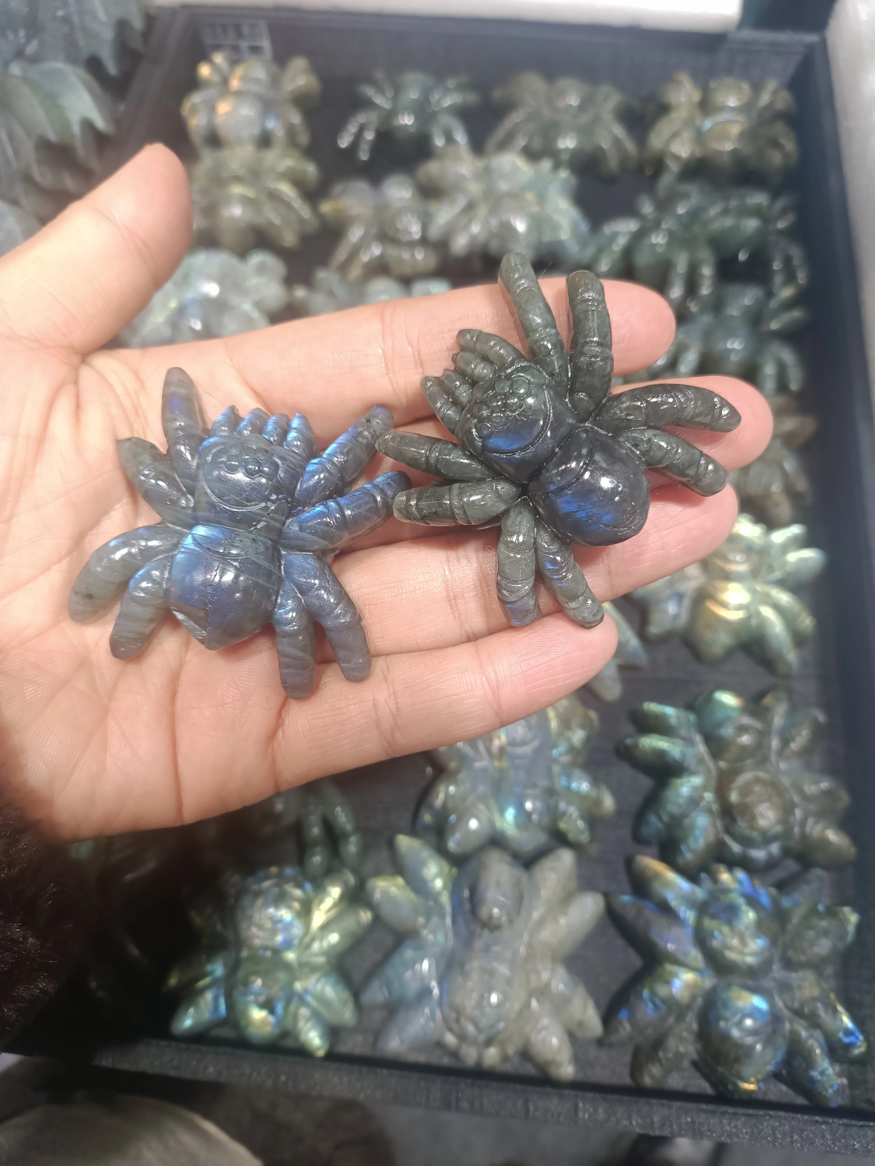 

Rare Natural Labradorite Spider Crystal Healing Stone Specimen Mineral Ornament Home Decoration 1pcs Free Shipping