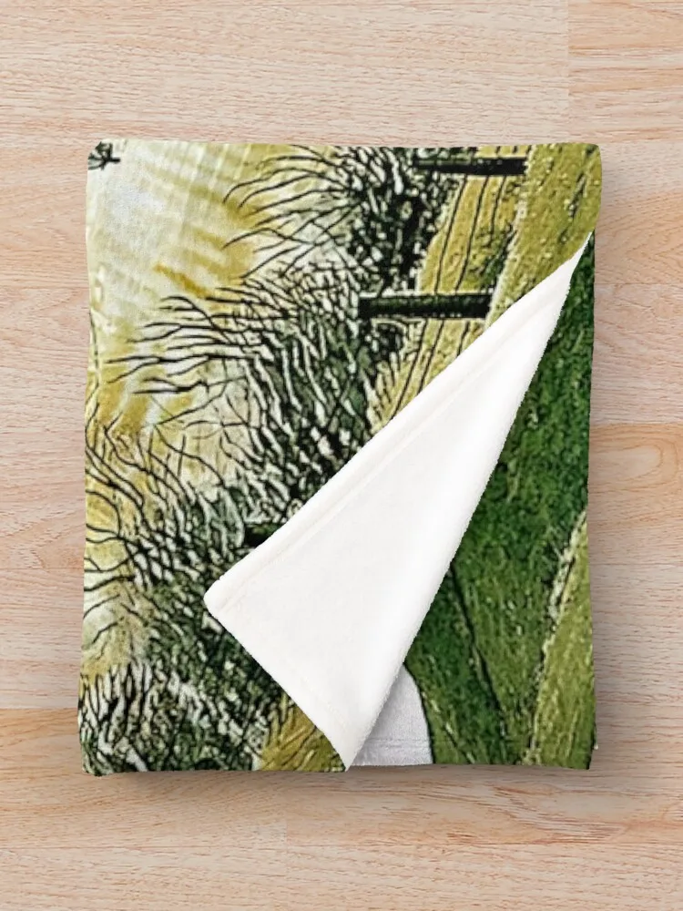 Эрик Войлизный Переклог Равильский Могиль sur bois Равижный арт. Плед Роскошные