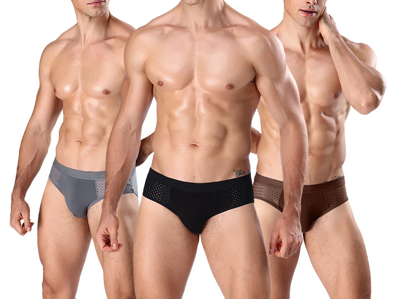 Men's Underwear Briefs Modal Ice Silk Breathable Triangle Mesh Sports Briefs sexy men underwear men briefs