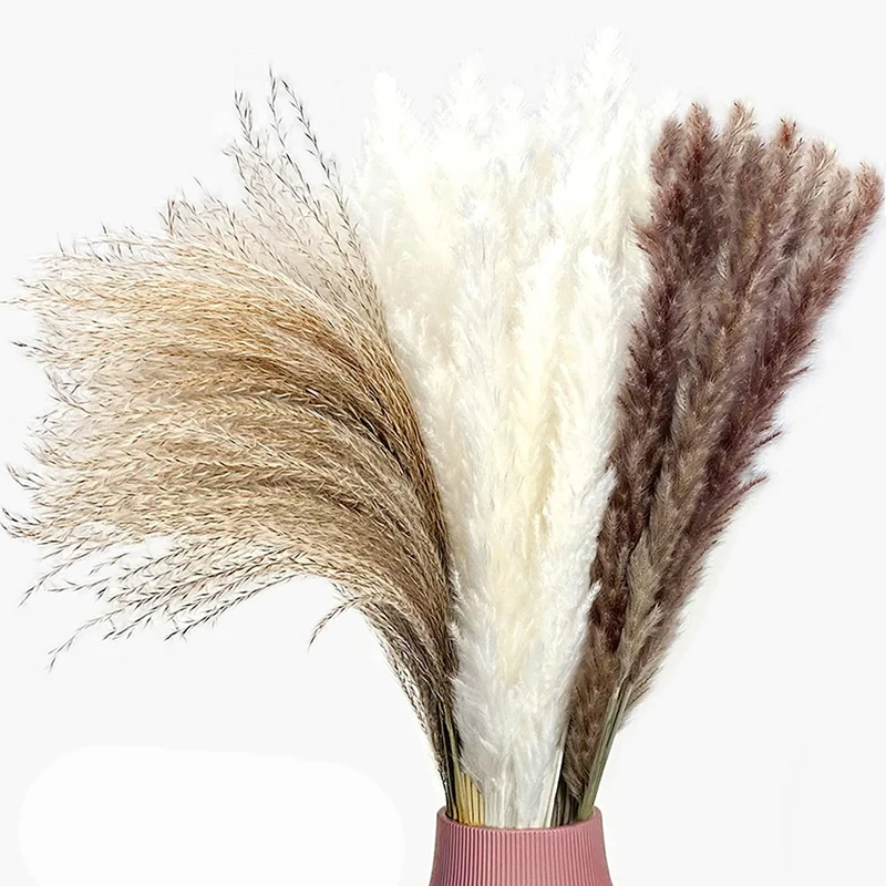 

Натуральная пампасная трава, сушеные цветы, украшение, 65 шт., 45 см, пушистые сушеные цветы, букет бохо, сушеные пампасы