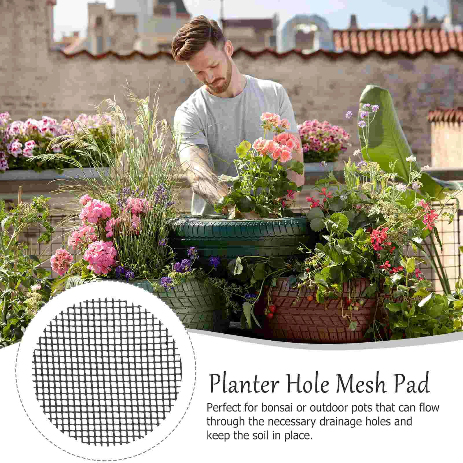 Suculentas Суккуленты Растения Цветочный горшок Нижняя сетка Горшки для цветов