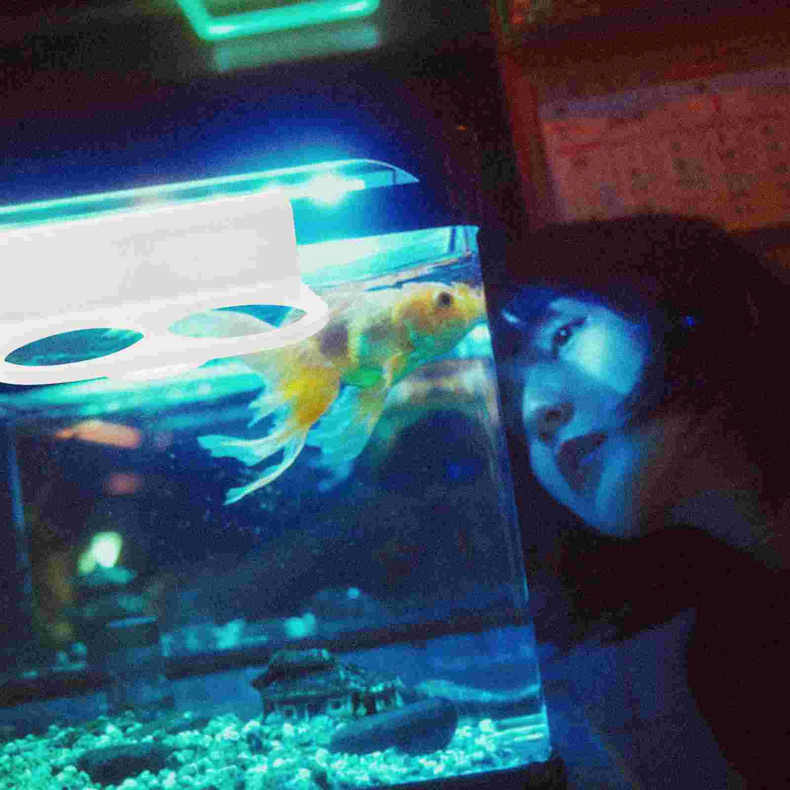 Держатель мешка-фильтр для аквариума держатель мячей кронштейн аквариумных