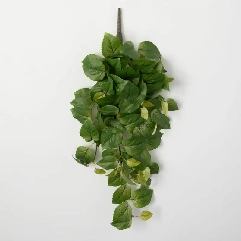 

Perilla Hanging Leafy Bush 30