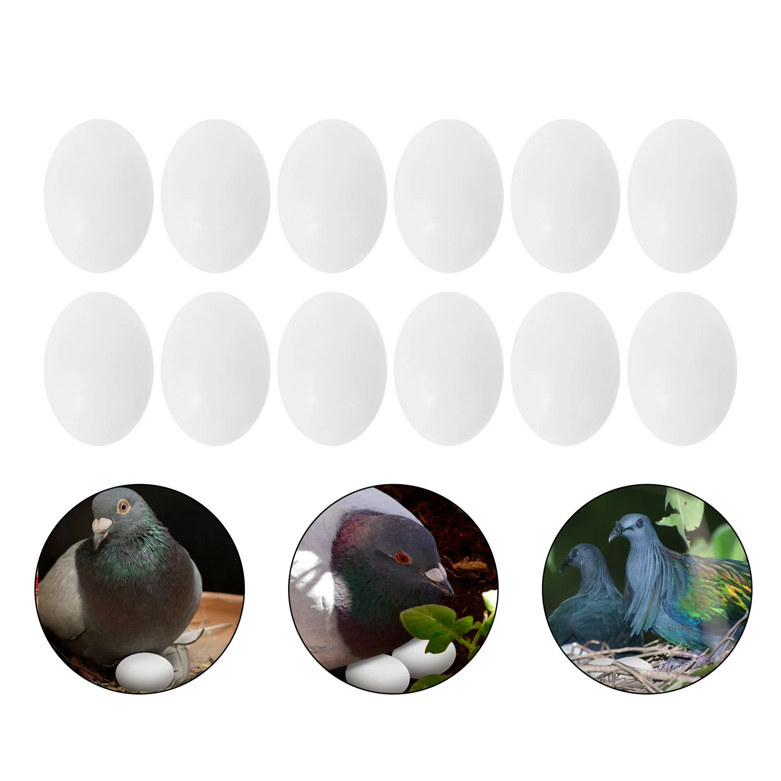 

30Pcs Parrot Eggs Hatching Eggs Realistic White Toy For Kidss Replacement for Trick The Birds to Stop Laying Eggs Painting Craft