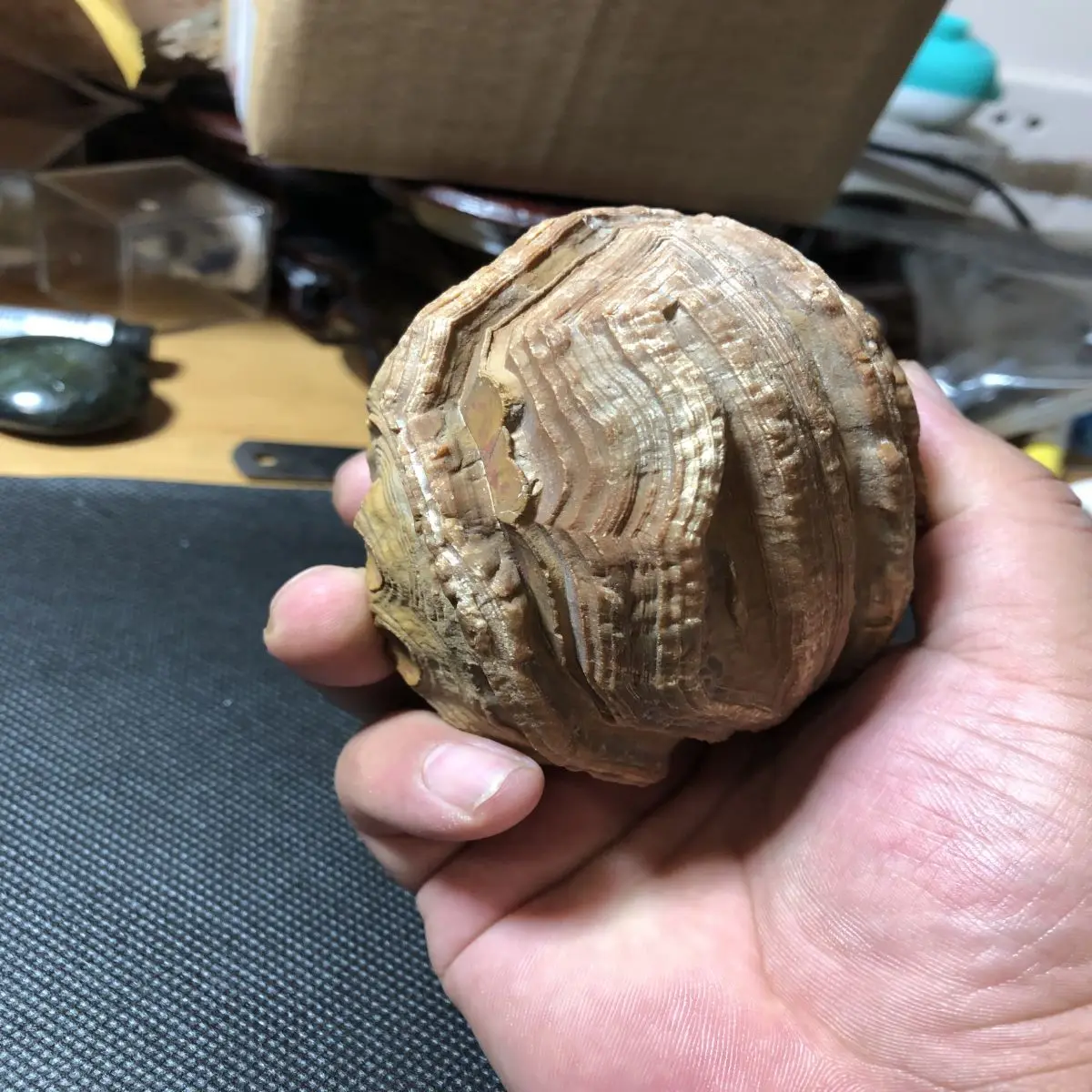 1Pcs Natural Crystal Raw Stone Boutique Agate Water Flush Stone Naturally Formed Decorative Pieces