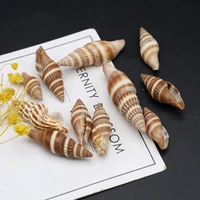 100g diy shell beads striped snail shell bead without hole bathtub landscaping for jewelry making diy clothes accessory