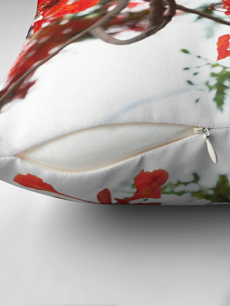 Королевская пуансиана (Delonix regia) также называемая ярким деревом или павлиньим