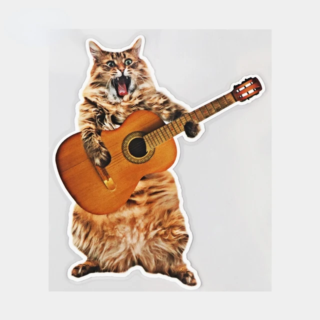 Котик с гитарой. Флер формалин ноты флейта. Теплые коты на гитаре. Кот с гитарой. Кот с гитарой.