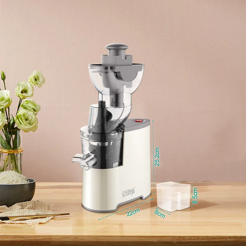 Masticating Juicer Machines,Cold Press Whole Vertical Juicer Cooking Machine, Household Convenient Light Food Filter Free