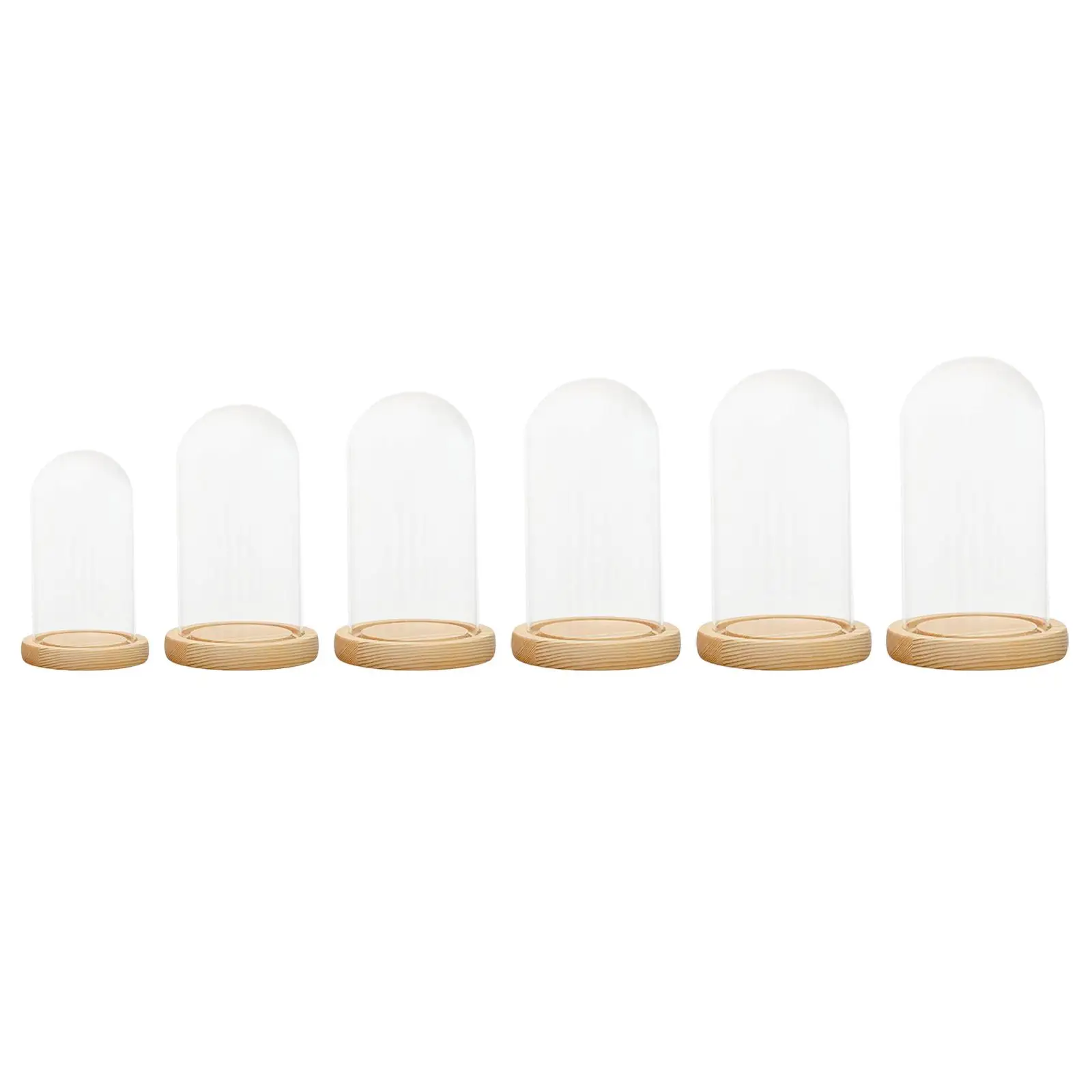 

Стеклянный купол Cloche Bell Jar