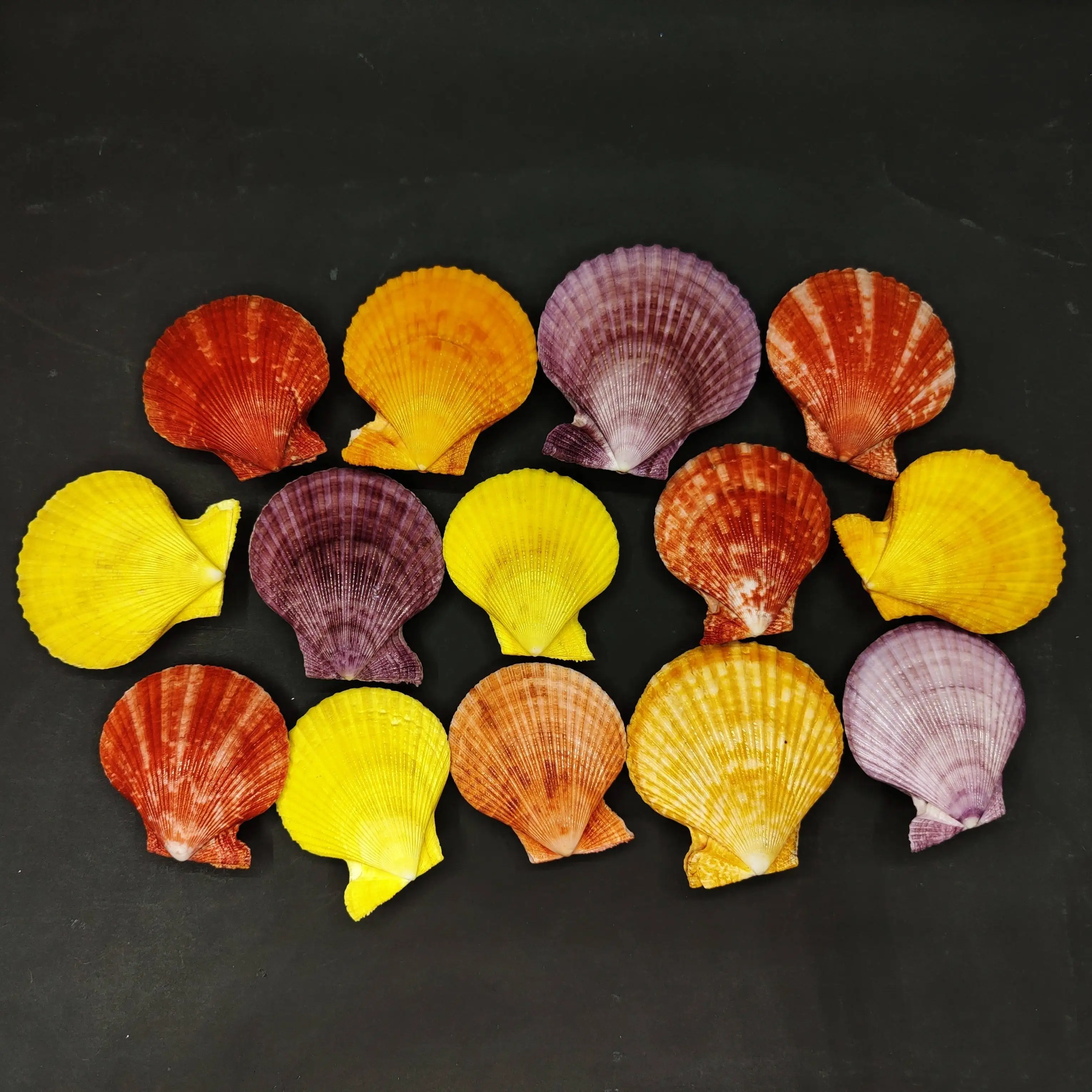 

Ракушка фотография Материал миниатюрный коллекционный образец