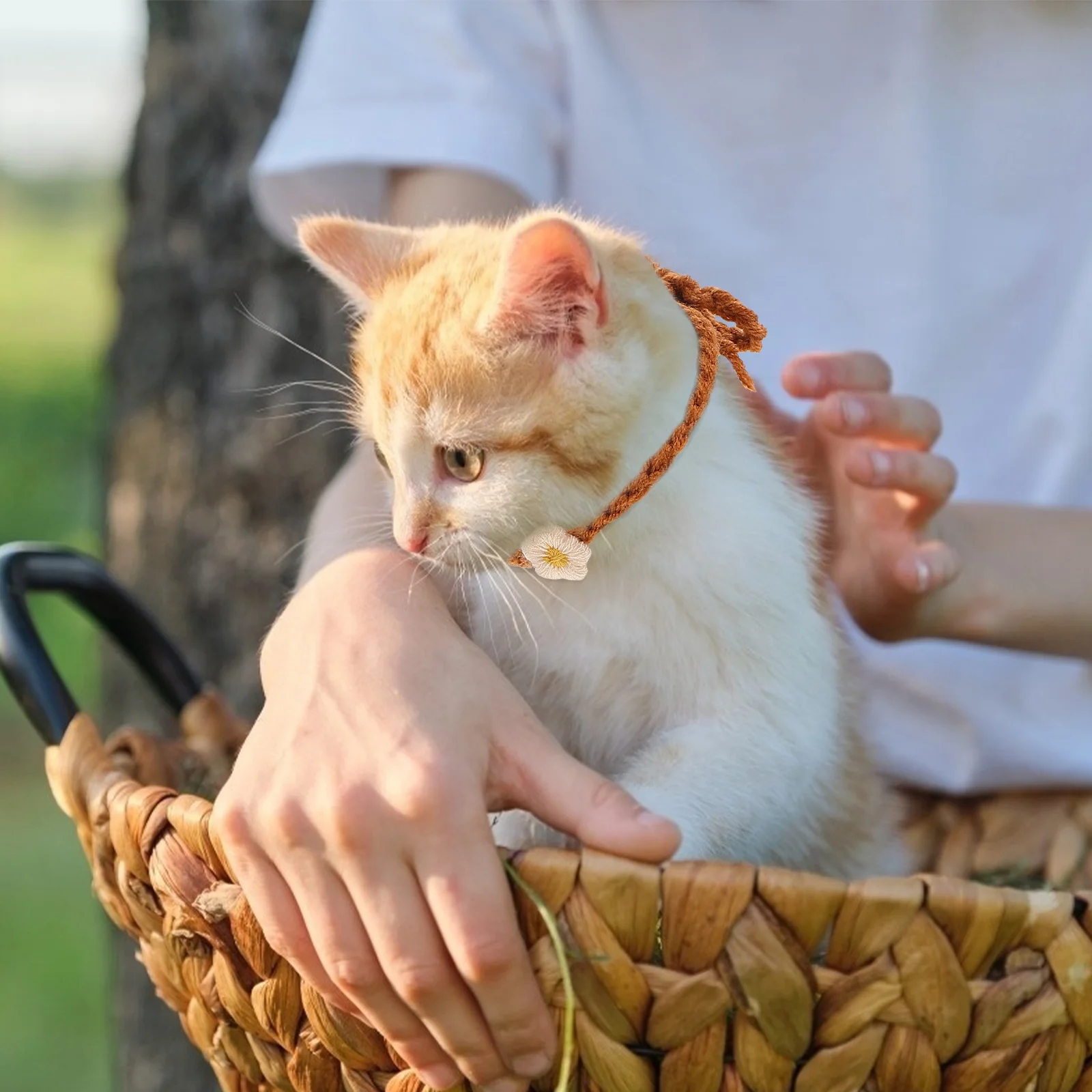 10 шт. ошейники для щенков домашних животных идентификационные новорожденных