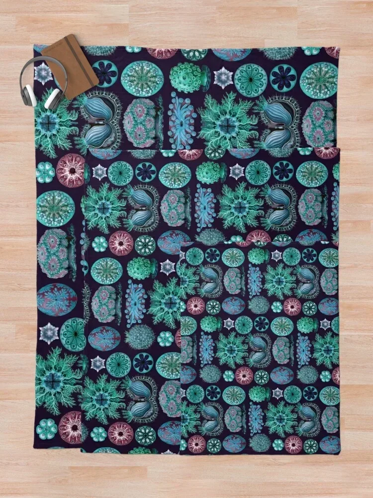 Одеяло Летящее в стиле эфирного асцита одноцветное