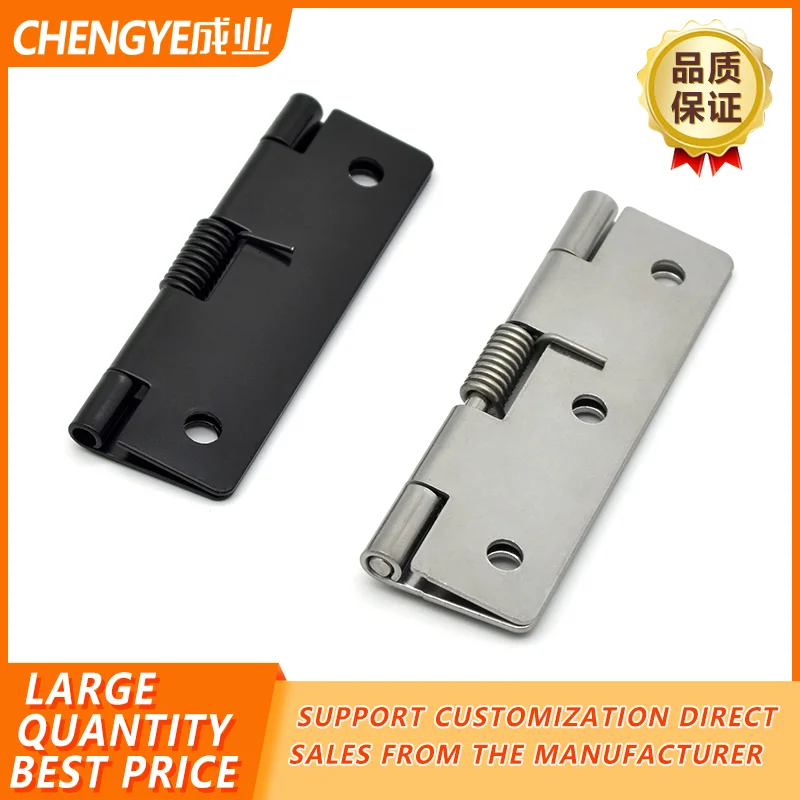 Пружинный шарнир из нержавеющей стали 304 эластичный автоматический закрывающий