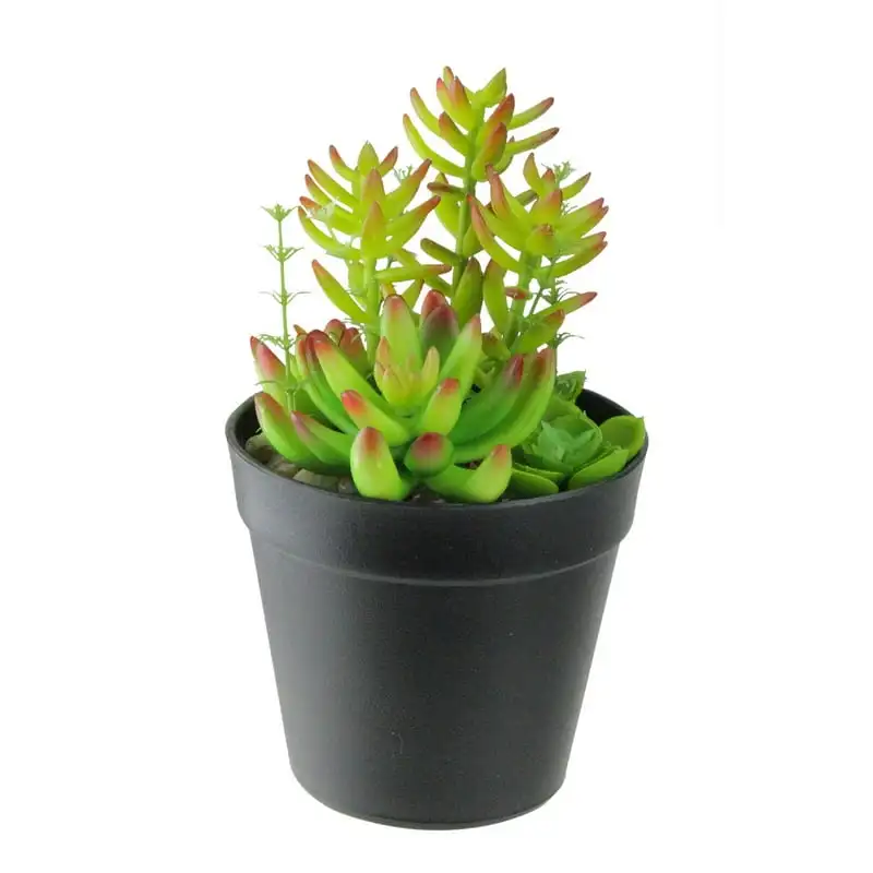 

Artificial Mixed Succulent Plant Arrangement in Black Pot