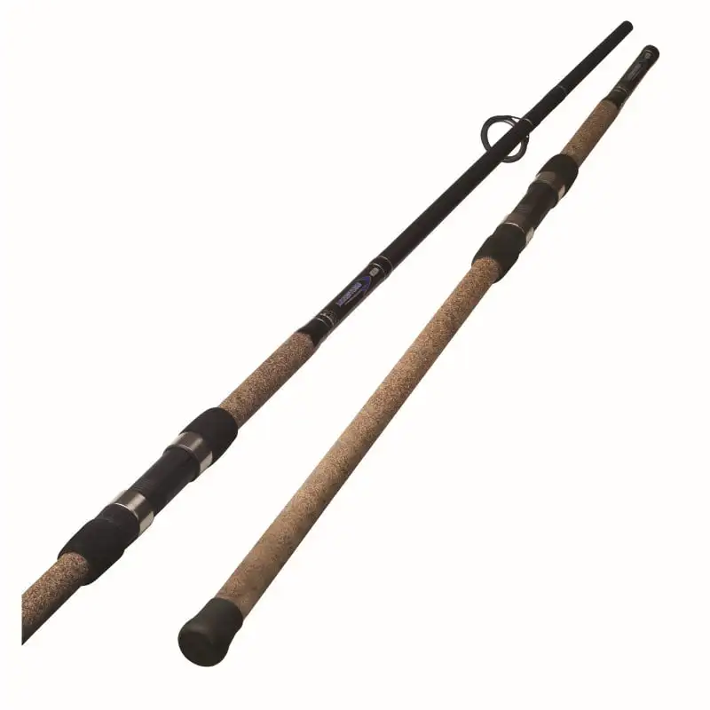 Fishing LC-S-1002H-1 Longitude Surf Spin Rod [10', Heavy 2 Piece]