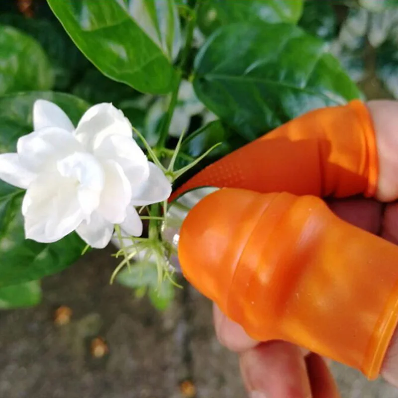 

Силиконовый нож для большого пальца, нож для сбора виноградной клубники, протектор для пальцев, нож для сбора овощей, садовый кухонный инструмент, аксессуары