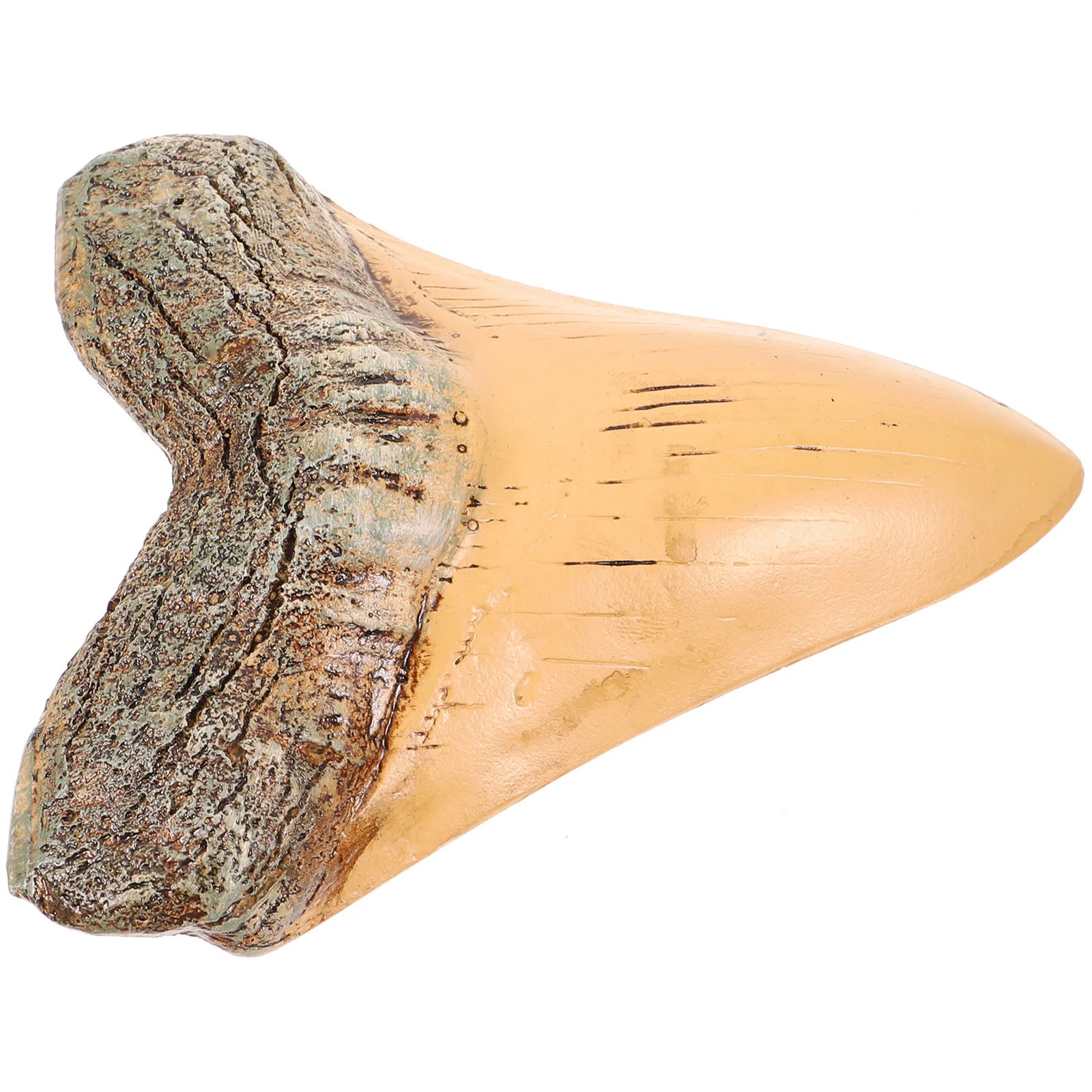 

Fossilized Prehistoric Realistic Decoration Resin Model