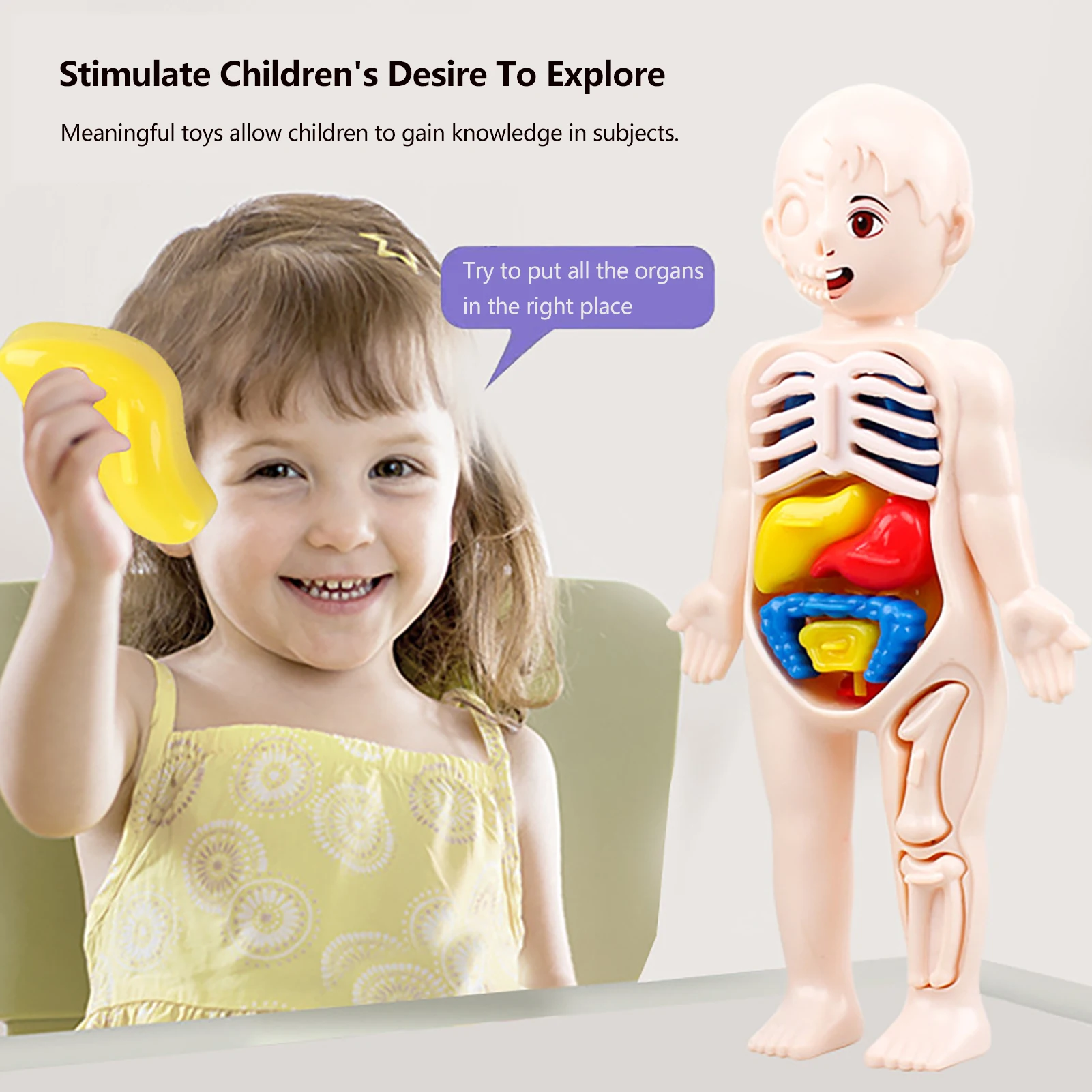 3D пазл модель человеческого тела анатомический орган собранная игрушка Детский