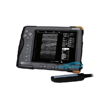 

Accurate Handheld Veterinary Ultrasound for Animal Husbandry and Pregnancy Testing